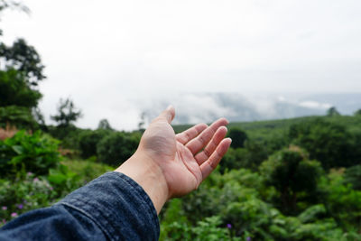 Close-up of hand against sky