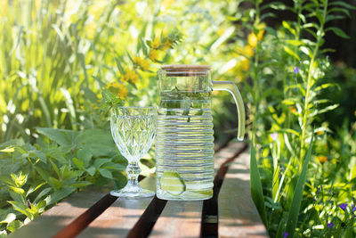 Refreshing water with lime and mint in a jug and glass on a wooden table on a background of plants. 