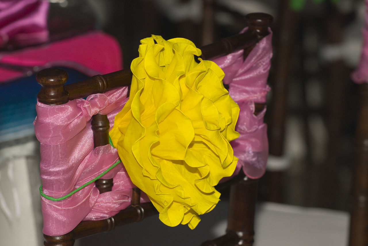 CLOSE-UP OF HAND HOLDING YELLOW FLOWER