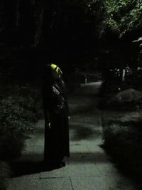 View of trees at night