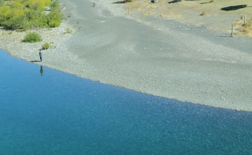 High angle view of turtle in water