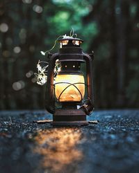 Close-up of camera on tree at night