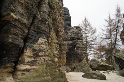 Low angle view of rock formation amidst trees against sky