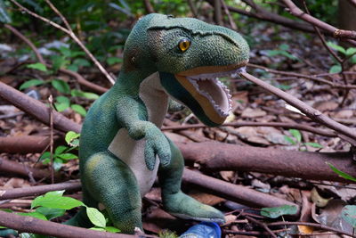 Tirex dinosaur doll that is looking for prey