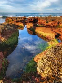 Scenic view of sea against sky