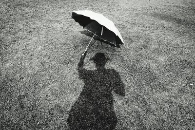 High angle view of person holding leaf on grass