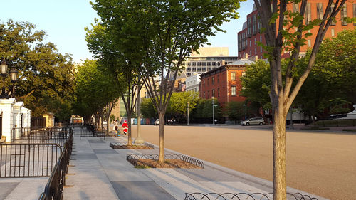 Street amidst trees and plants in city