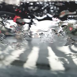 Close-up of water drops on leaf