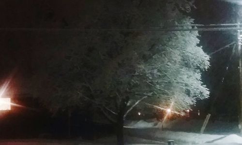 Close-up of illuminated snow against sky at night