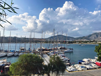 Boats moored in harbor