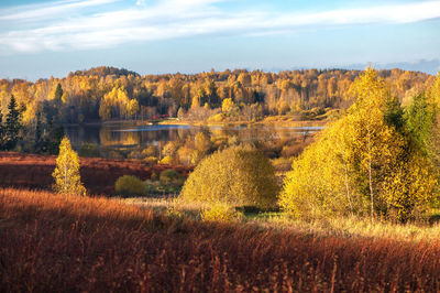 Scenic view of field against sky during autumn