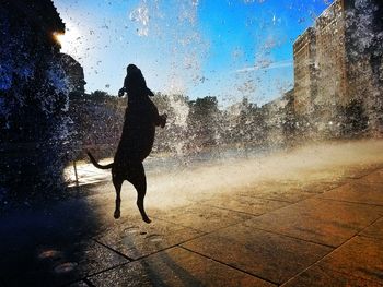 Full length of silhouette woman walking in city against sky