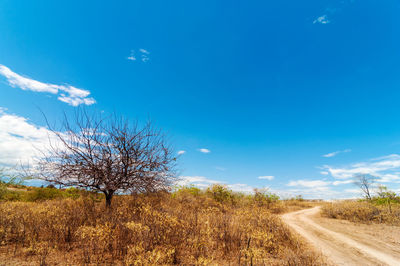 Dirt road by field at tatacoa desert against sky