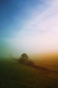 sky