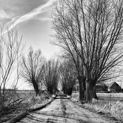 Road passing through field