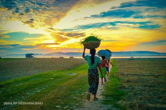 sky, sunset, lifestyles, full length, cloud - sky, landscape, leisure activity, field, men, rear view, scenics, tranquil scene, standing, cloudy, domestic animals, cloud, grass, orange color