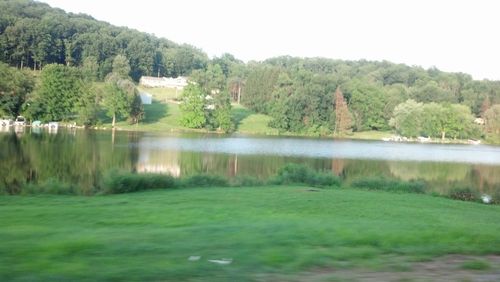 Scenic view of lake and trees