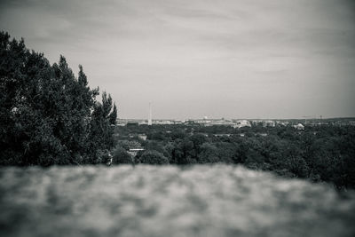 View of trees against sky