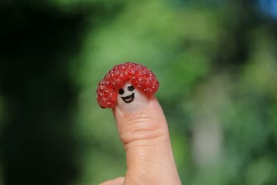 Close-up of hand holding red fruit