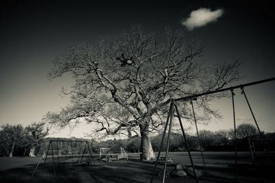 Bare tree by street against sky
