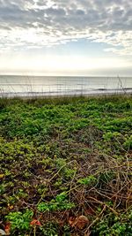 Scenic view of sea against sky