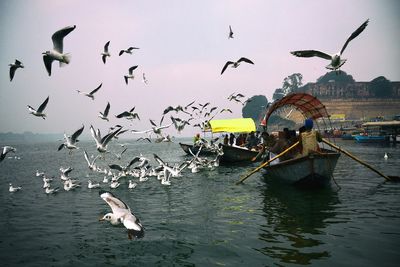 Seagulls flying by people traveling on boat in river