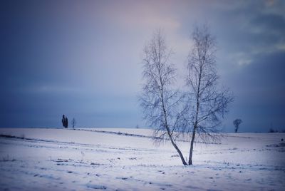 Bare trees on snow covered field against sky