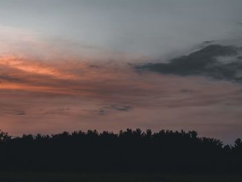 Silhouette trees against sky during sunset