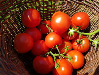 High angle view of tomatoes in basket