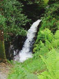 River flowing through rocks