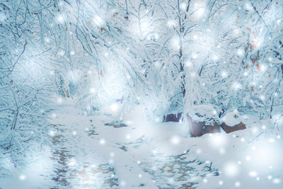 Close-up of christmas lights on snow