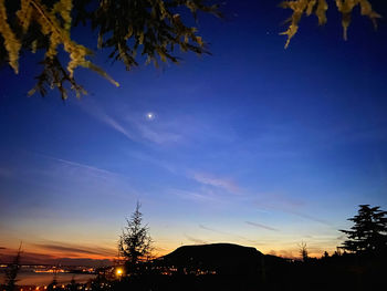 Low angle view of silhouette trees against sky at night