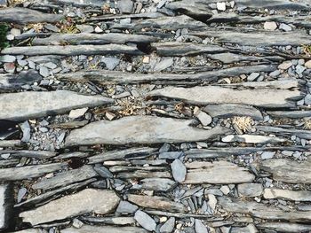 Close-up of old wooden wall