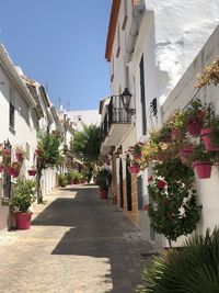 Street amidst buildings in town against sky