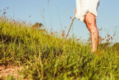 Low section of woman on grass