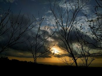 Silhouette bare tree against sky during sunset