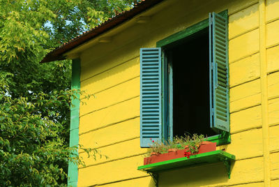 Potted plant by window of building