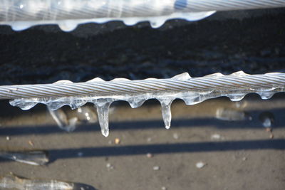 Close-up of icicles on land