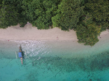 Scenic view of sea against trees