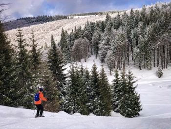 Skier on the slope