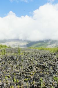 Scenic view of landscape against cloudy sky