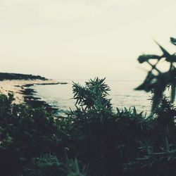 View of calm sea against the sky