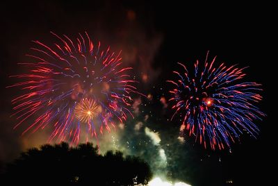 Low angle view of firework display at night