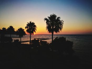 Silhouette trees on beach against sky during sunset
