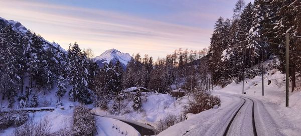 Snow covered trees by mountain against sky