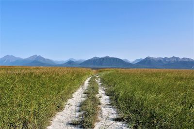 Scenic view of field against clear sky