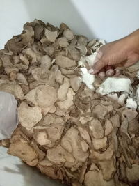 Close-up of hand holding bread