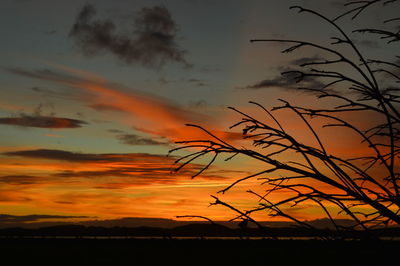 Silhouette of tree against dramatic sky