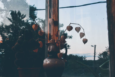 Close-up of electric lamp by window against sky