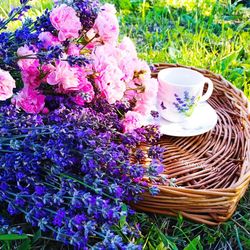 Close-up of purple flowers in basket